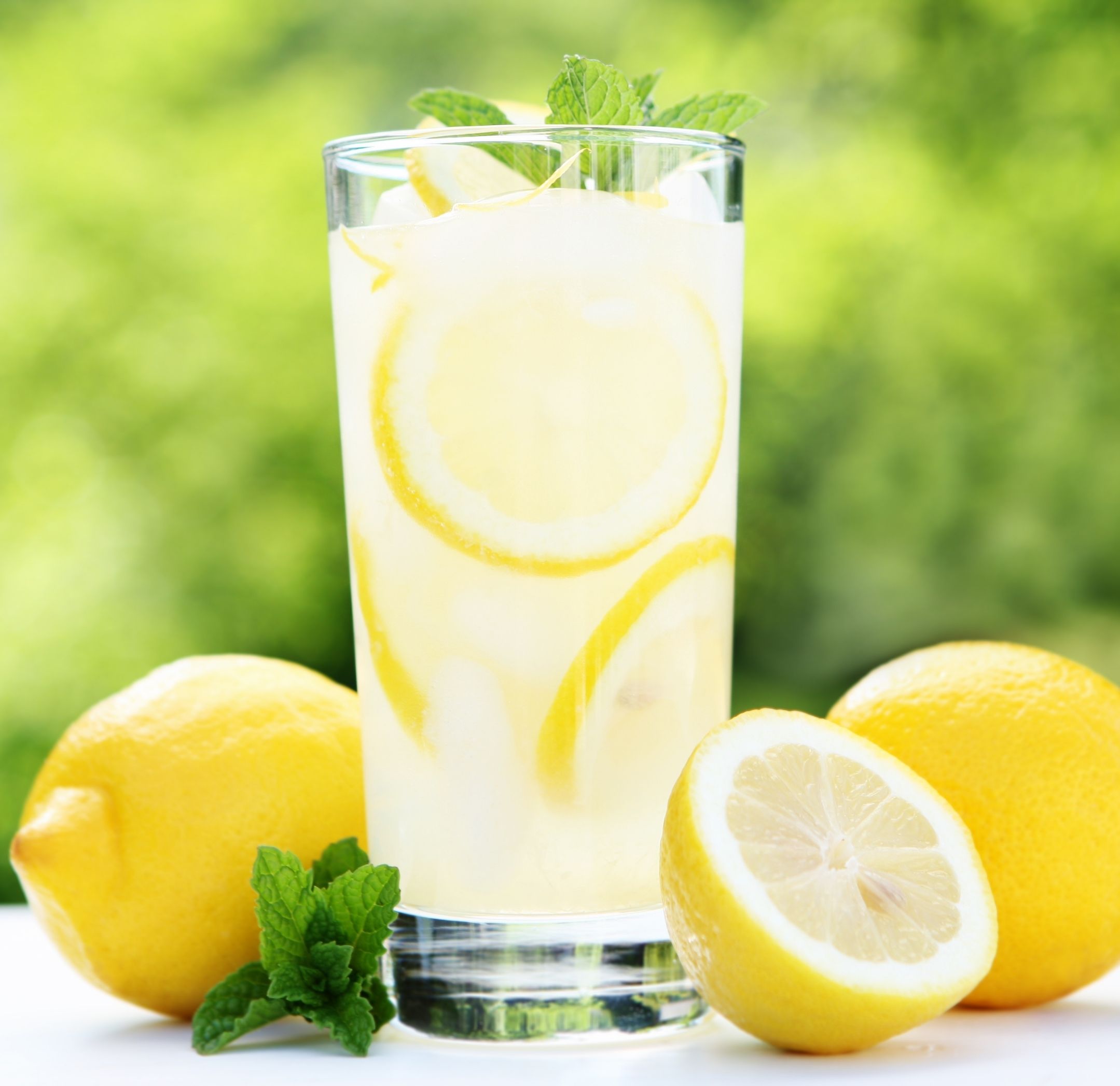 LİMONOTA Fotoğrafı